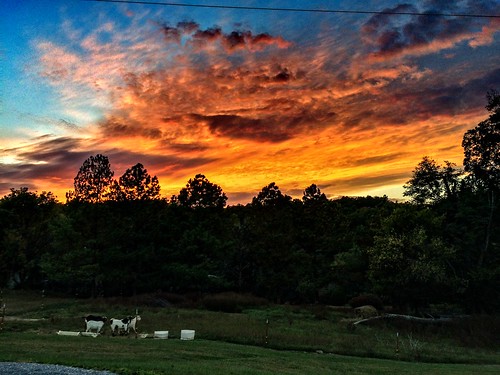 sunset sky nature look field landscape amazing tn outdoor dusk tennessee country goat stunning fav sevierville countrylife iphone 5s iphone5s