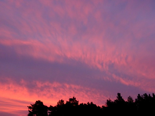 morgenrot by misone2000,                                pink oktober licht herbst himmel wolken blau wald sonnenaufgang morge