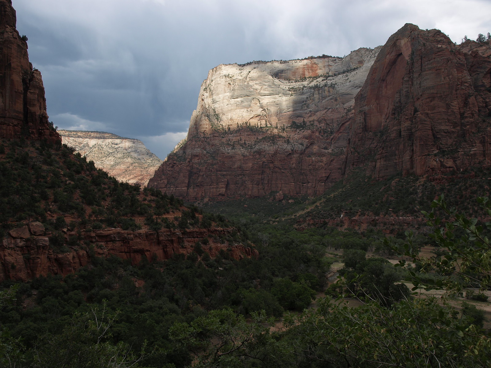 Great White Throne NE from Emerald Pools trail Zion Canyon