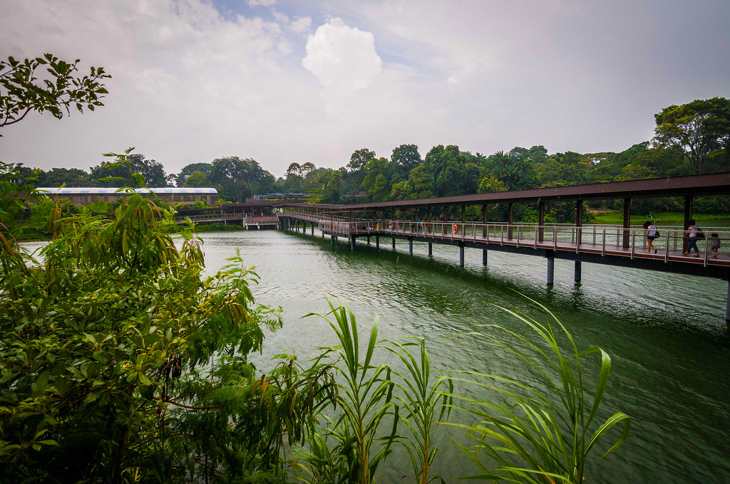 Singapore Zoo and River Safari