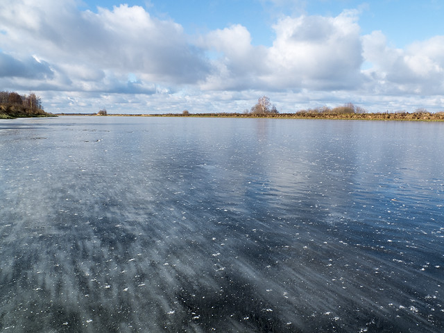A frozen bayou