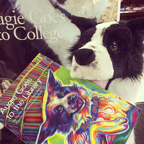 Come celebrate Augie's book launch today at noon outside the @newpaltzbookstore!!! The book is on sale today and he'll be present for photos. #npsocial #cutedog #campusdog #newpaltz