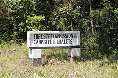 Signpost for Chirinda Forest campsite and chalets