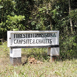 Signpost for Chirinda Forest campsite and chalets