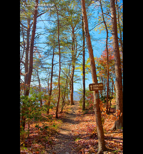 jlrphotography nikond7200 nikon d7200 photography photo spartatn middletennessee whitecounty tennessee 2016 engineerswithcameras cumberlandplateau photographyforgod thesouth southernphotography screamofthephotographer ibeauty jlramsaurphotography photograph pic sparta tennesseephotographer spartatennessee virginfallsstatenaturalarea virginfalls virginfallsstatepark marthasprettypoint overlooktrail tennesseehdr hdr worldhdr hdraddicted bracketed photomatix hdrphotomatix hdrvillage hdrworlds hdrimaging hdrrighthererightnow fall fallcolors fallleaves fallseason fallinthesouth colorful colors autumn autumncolors autumninthesouth autumnleaves falltrees autumntrees hiking hikingtrail landscape southernlandscape nature outdoors god’sartwork nature’spaintbrush sign signage it’sasign signssigns iloveoldsigns iseeasign signcity trail