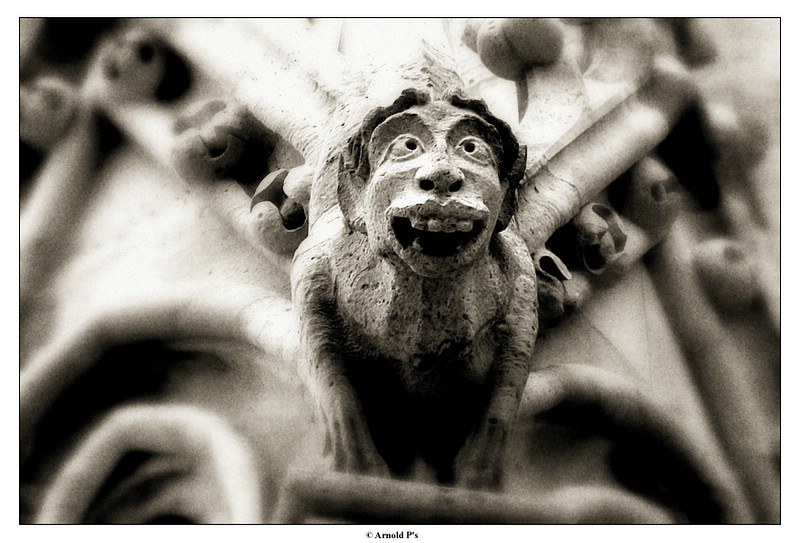 Gargoyle with a Funny Face | One of the Notre Dame de Paris … | Flickr