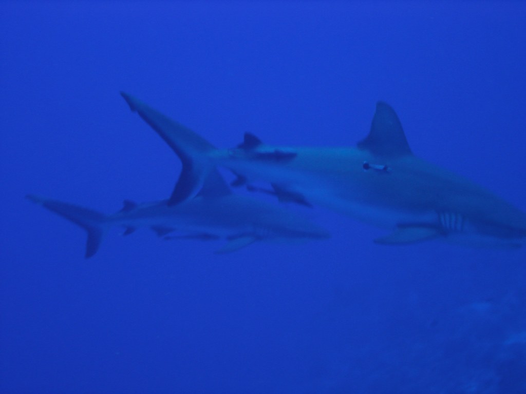 North Horn