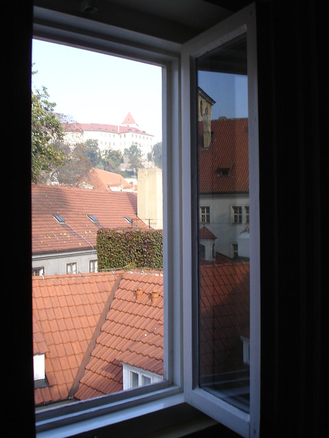 View from the window