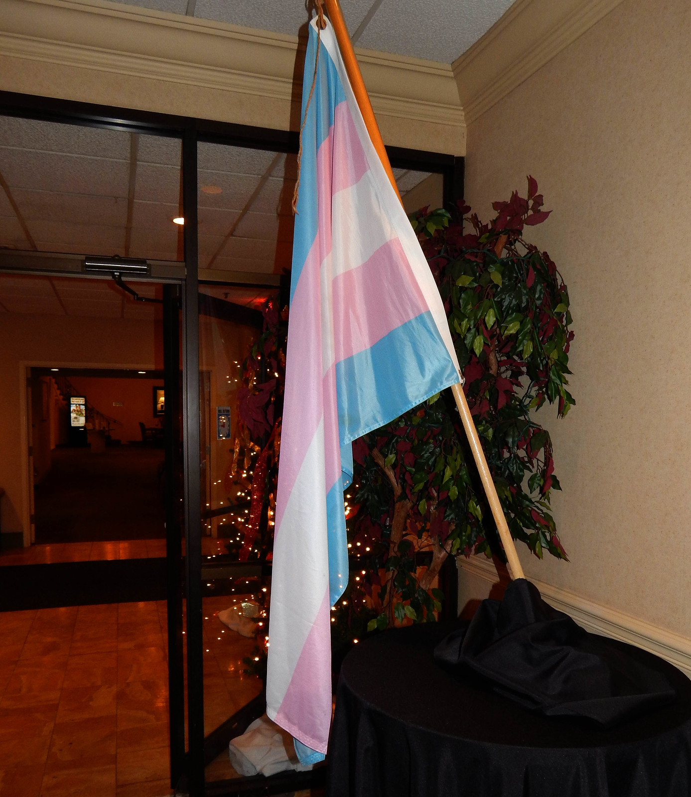Trans Pride flag