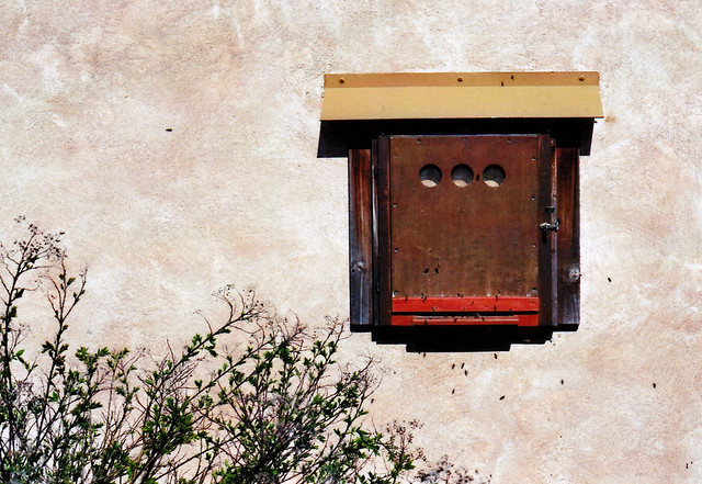 Bienenstock/ Beehive - I shot film