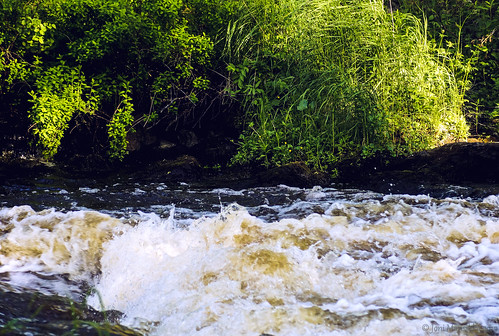 light summer green nature june suomi finland river flow whitewater stream rapids noormarkunjoki