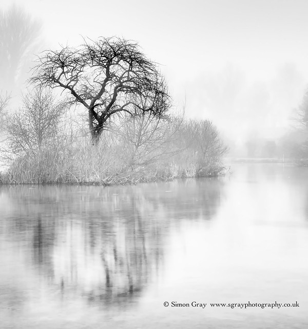 The Tree long exposure of tonge mill pond #tree #longexposure #swale #blackandwhite #sittingbourne #reflections #fog