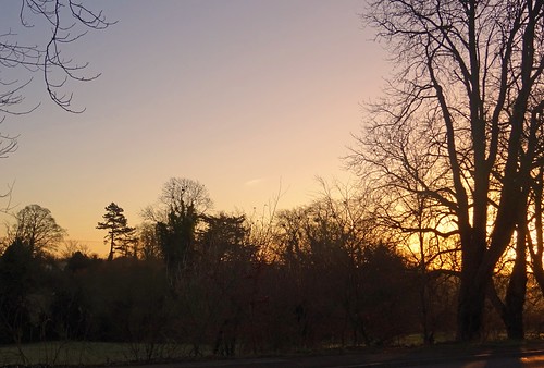 Sunrise by Donnchadh H, A shot taken while waiting for the bus into work, January 2017. winter january woods trees melton no