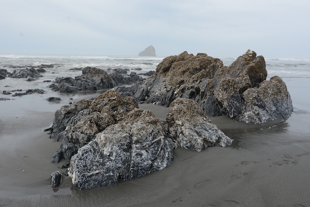 Redwood Creek beach rocks_ 2014-02-11_ 072.JPG