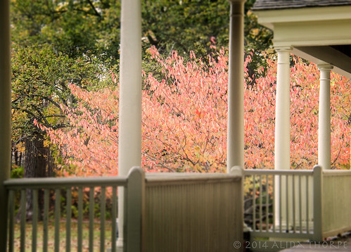Autumn Front Porch