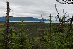 Berry Hill Trail, Gros Morne