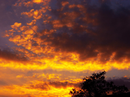 El Dorado by Jose Luis Gomez Gomez, Golden sunset in Vioñosunset sky españa tree clouds atardecer twilight spain dusk cables wires cielo