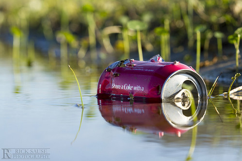 plants plant man nature water grass trash reflections landscape puddle photography photo garbage focus with cola rick coke can pop holes litter made photograph manmade soda cocacola outer coca depth share banks obx refection sause ricksausephotography