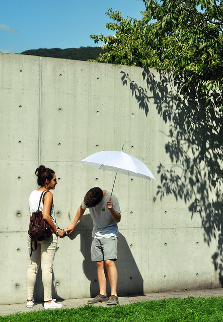 The Vitra Conference Pavilion / Tadao Ando