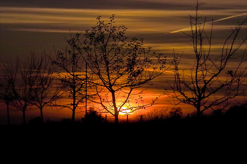 autumn sunset landscape photography sonnenuntergang sigma orchard sd10 oberpfalz obstgarten reginahoer
