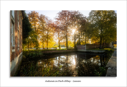 autumn 24mm d750 colours sunset water leuven fall herfst heverlee abdijvanpark davidjonck nikon tiltshift abbey park zonsondergang parkabbey abdij 3000