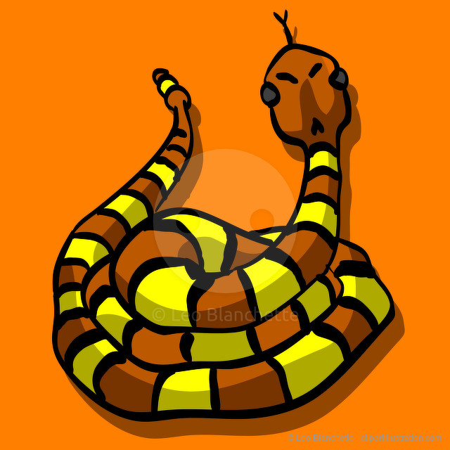 Sucky Color Combo Generic Snake