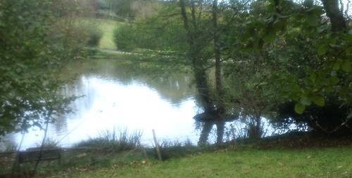 Shimmering pond 