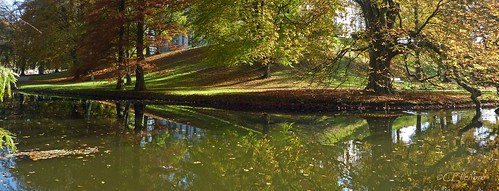 park november autumn trees light sun sunlight inspiration color colour detail reflection tree fall nature water sunshine weather landscape licht photo perception scenery wasser day foto view fallcolors tag magic herbst natur perspective autumncolours autumncolors imagination noon moment midday magical landschaft sonne farbe reflexion bäume baum celle wetter perspektive reflektion sonnenschein augenblick niedersachsen lowersaxony mittags palacegrounds culturallandscape faszination sonnenlicht herbstfarben kulturlandschaft palacegarden noontime sichtweise residenzstadt panasonicdmctz7 residenzstadtcelle ellenore56 schlosparkcelle celleschlospark 01112014