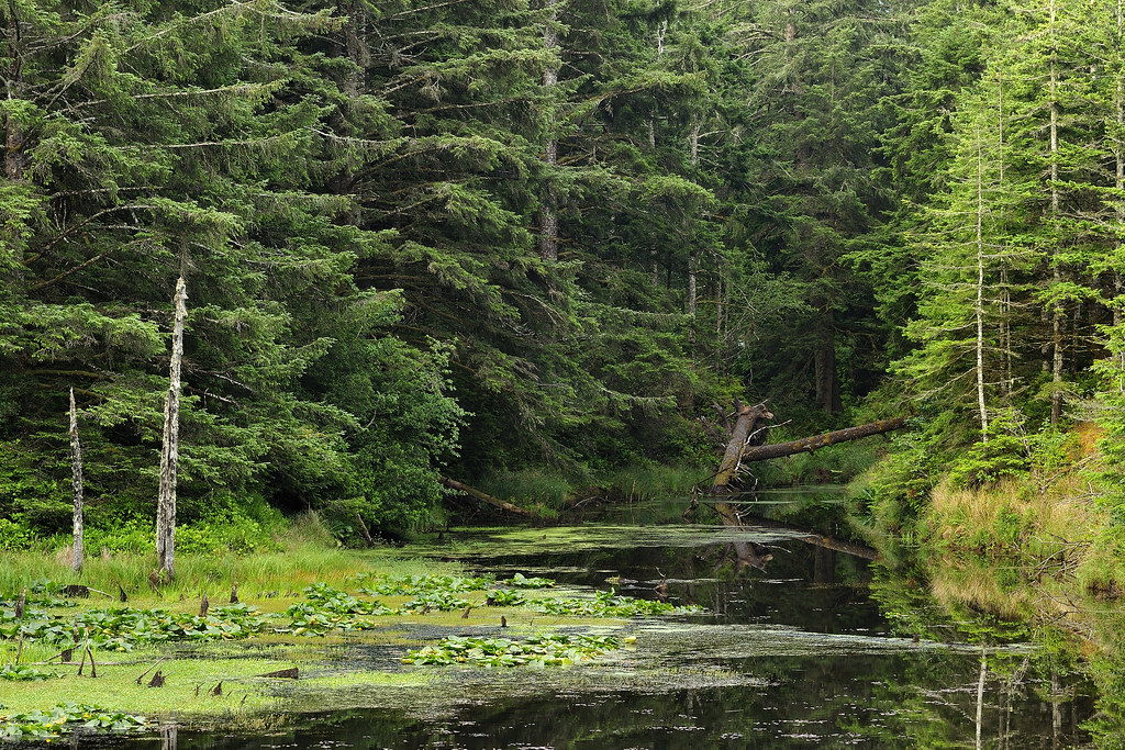 New River Trails