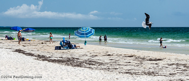 Beach Scene - St. George Island State Park, FL