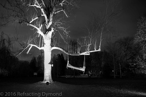 Creepy Tree | by refractingdymond