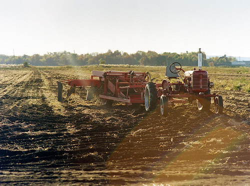 new york sun ny tractor color film landscape florida kodak farm farming onions bronica flare portra400 etrsi 150mm35