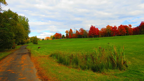 camping canada nature automne paysage parc drummondville centreduquébec campingdesvoltigeurs stcharlesdedrummond