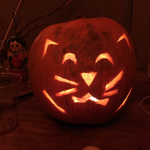 @gabernacle's pumpkin kitty. :3 | Zach Hale | Flickr