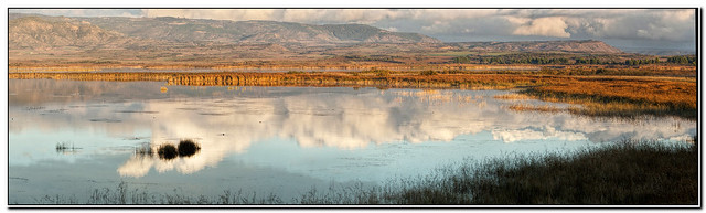 Panorámica de la laguna de Pitillas... **Navarra**