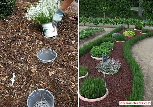 Effortless Ideas For Increasing Plants In A Container | by interiordecors3
