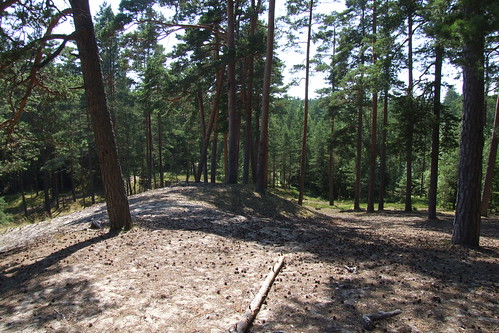 estonia pärnucounty tõstamaaparish pärnumaakond tõstamaavald panoramio
