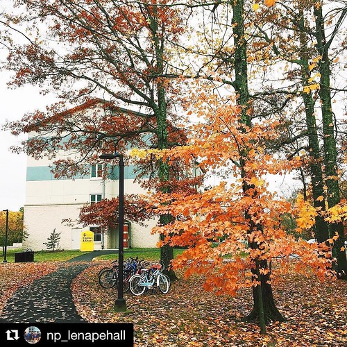 Side door views ???? Hope everyone had a replenishing break! It's only Tuesday, but many of us are already feeling a bit tired. Hang in there, you got this! ???? #npsocial #npreslife #nplenapelions #Repost @np_lenapehall