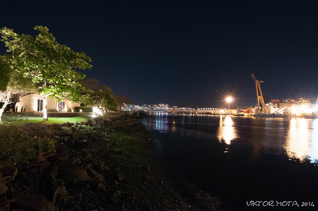 _DSC2874