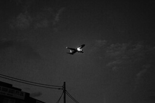 Plane in the night sky