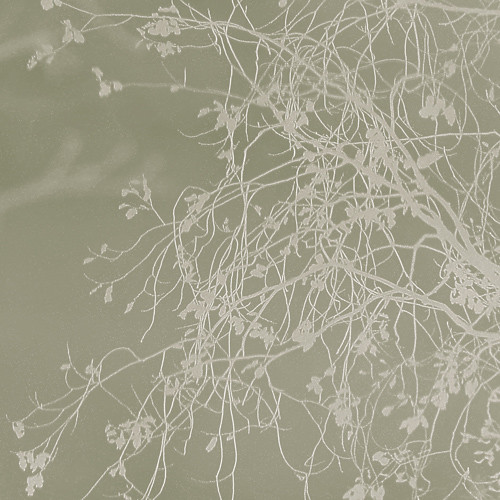 Network | by pola's