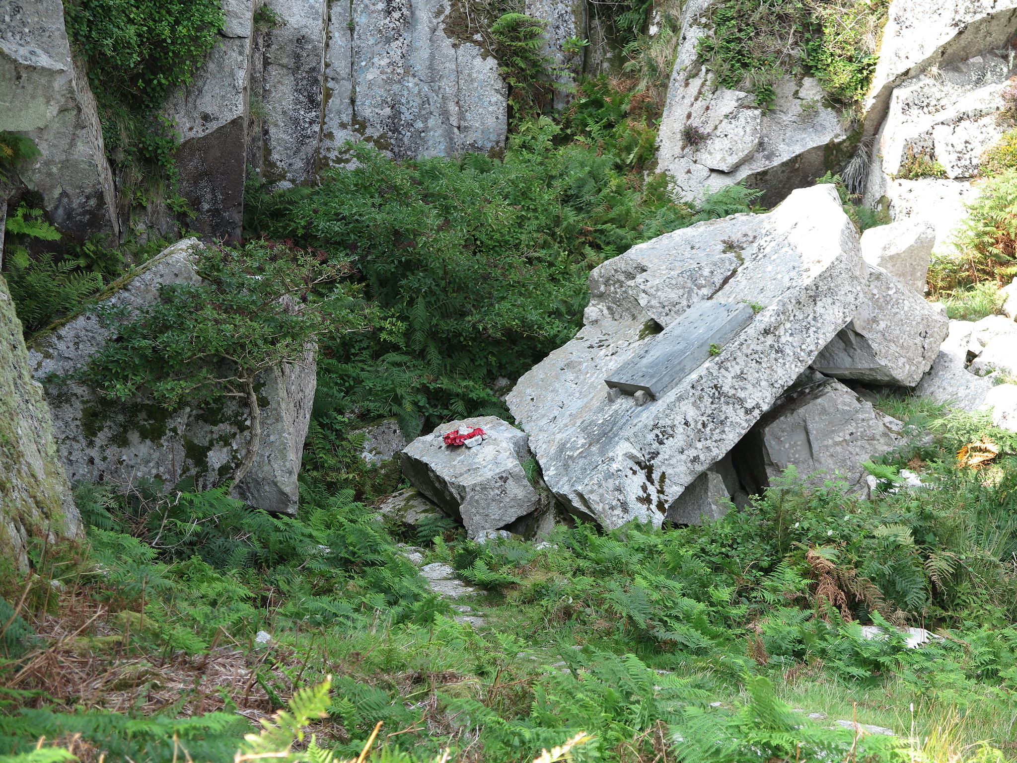 (Lundy Trip)