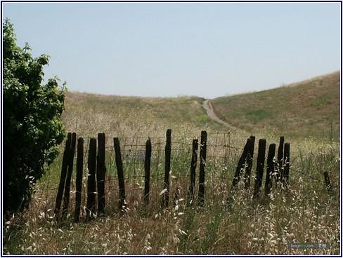 Welded Wire Fence Panels http://t.co/W6kdnf4YqV | by rosemary_1302