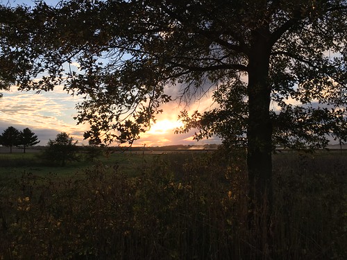 sunset fitchburg