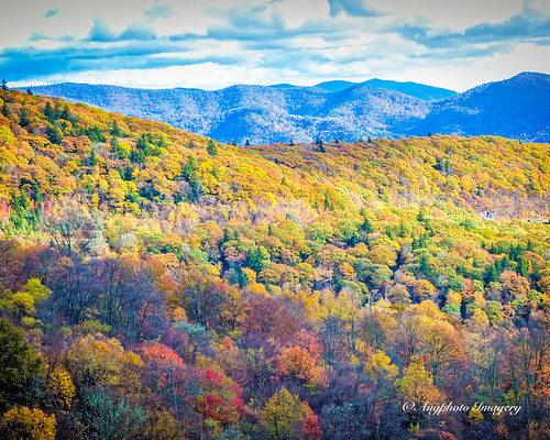 augphotoimagery blueridgeparkway autumn fall mountains nature outdoors scenic trees vegetation scottcreek northcarolina unitedstates