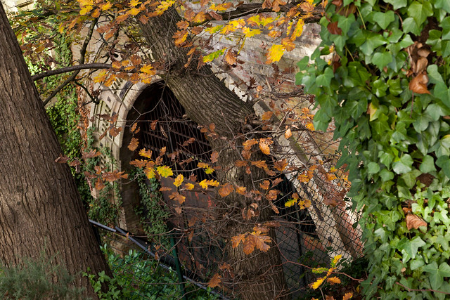 Former tunnel entrance for Crystal Palace High Level Station | Autumn in Crystal Palace 2016-33