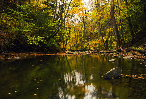 autumn ny fall nature canon peace calming peaceful calm hike glen adventure naples gorge fingerlakes idyllic 2014 grimesglen autumn2014