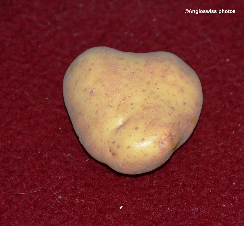 The hearty potato