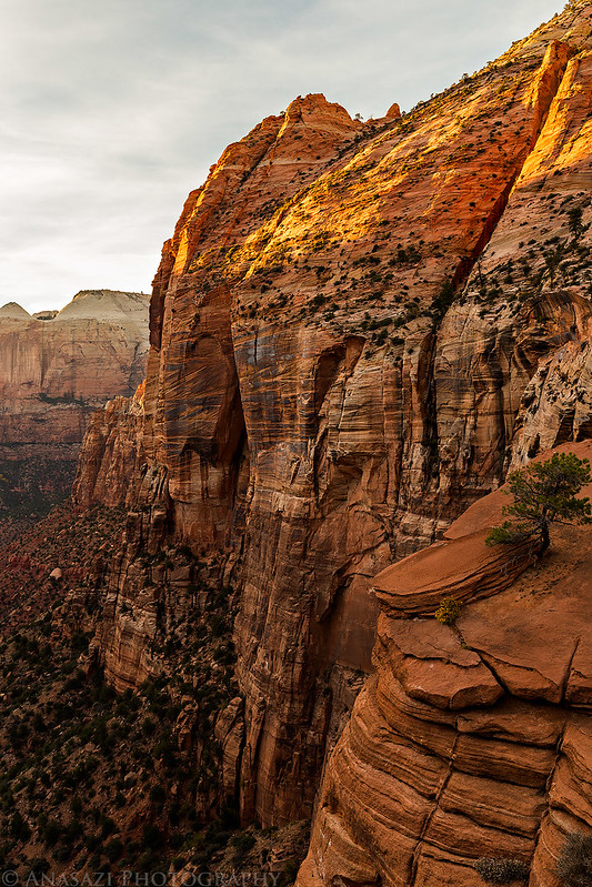 Canyon Overlook