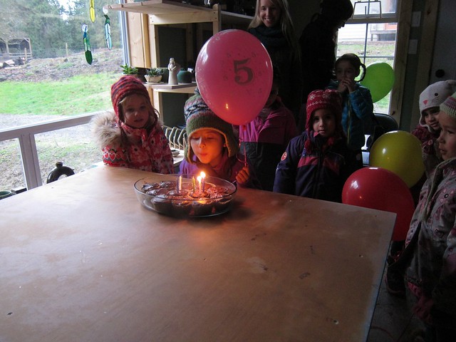Alma's 5th Birthday Party